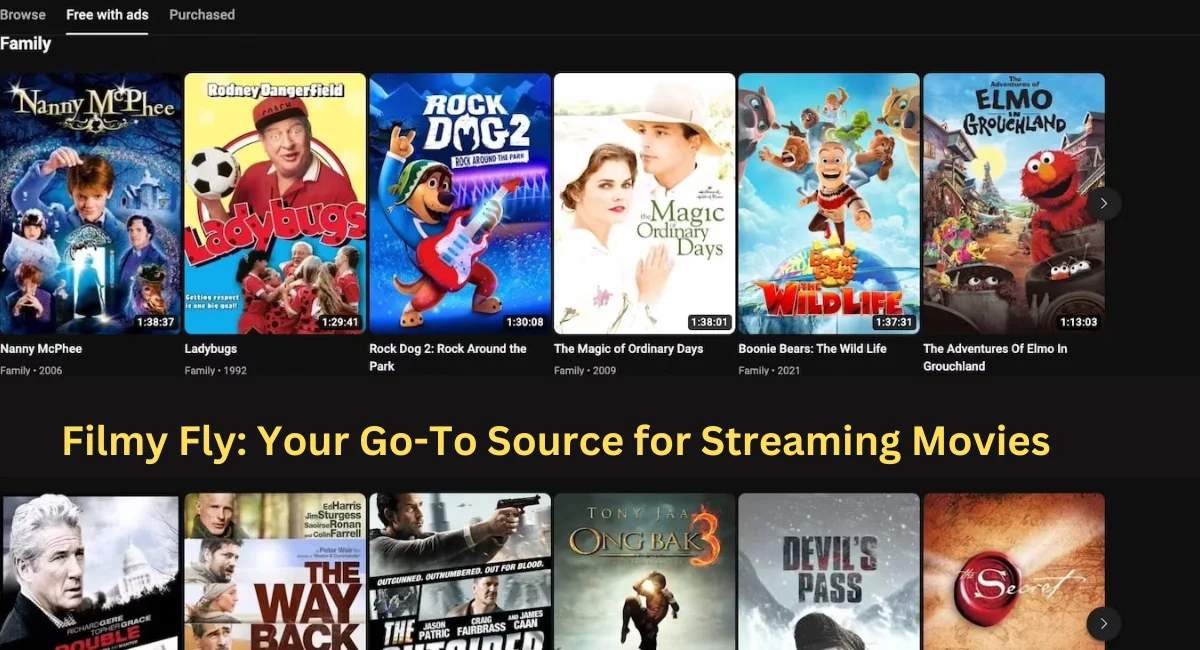 this image shown in Filmy Fly: Your Go-To Source for Streaming Movies